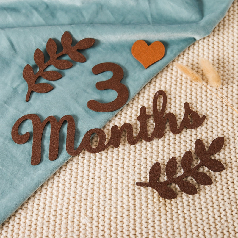 Felt Baby Month Milestone Memory Card for Newborn