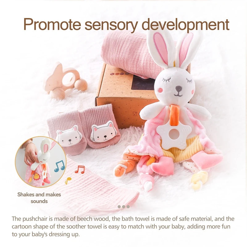 Baby Gift Box Set - Pink Bunny