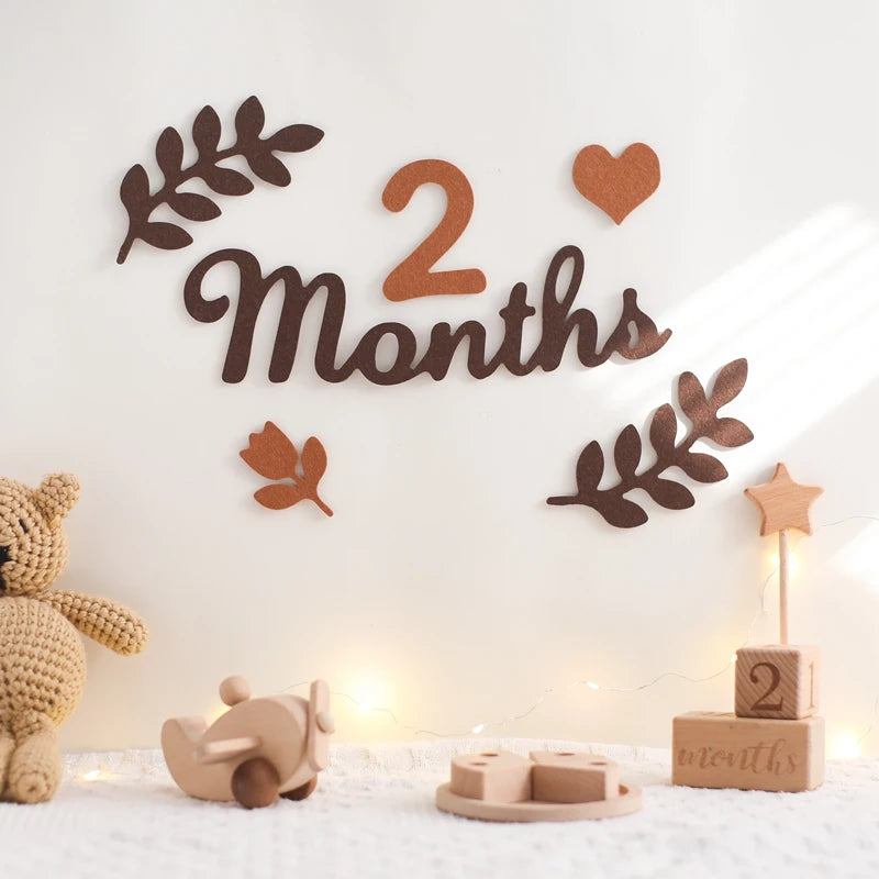 Felt Baby Month Milestone Memory Card for Newborn